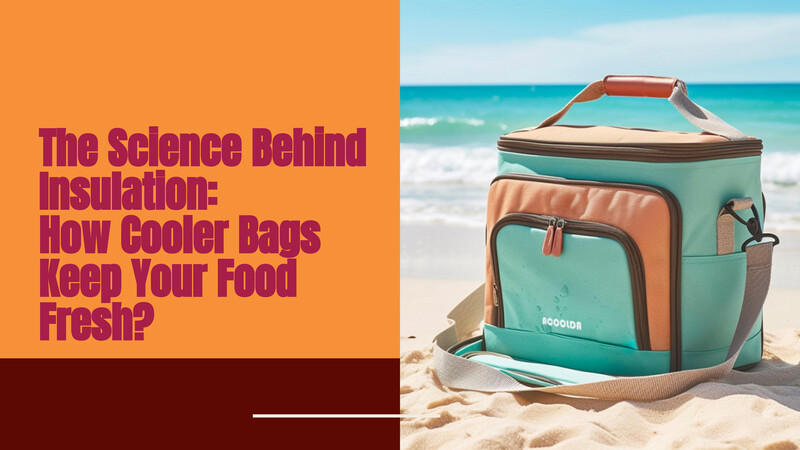 วิทยาศาสตร์เบื้องหลังฉนวน: กระเป๋าเก็บความเย็นช่วยให้อาหารสดได้อย่างไร | กระทำ